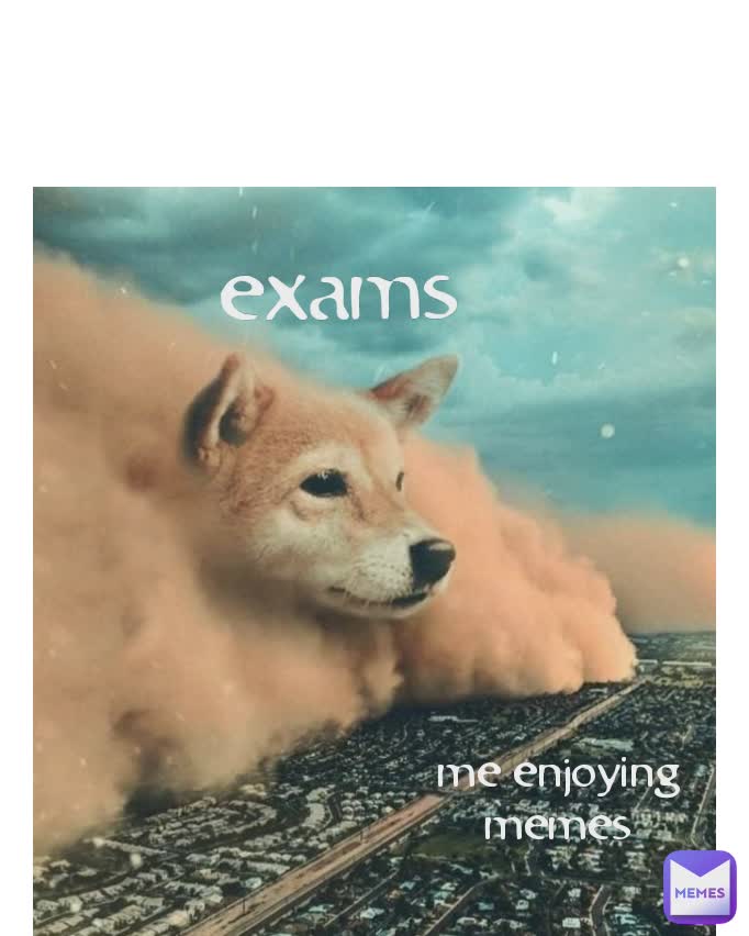 Type Text me enjoying memes exams