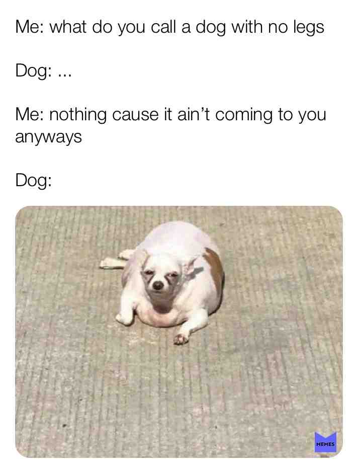 #sorrydog #hushpuppy