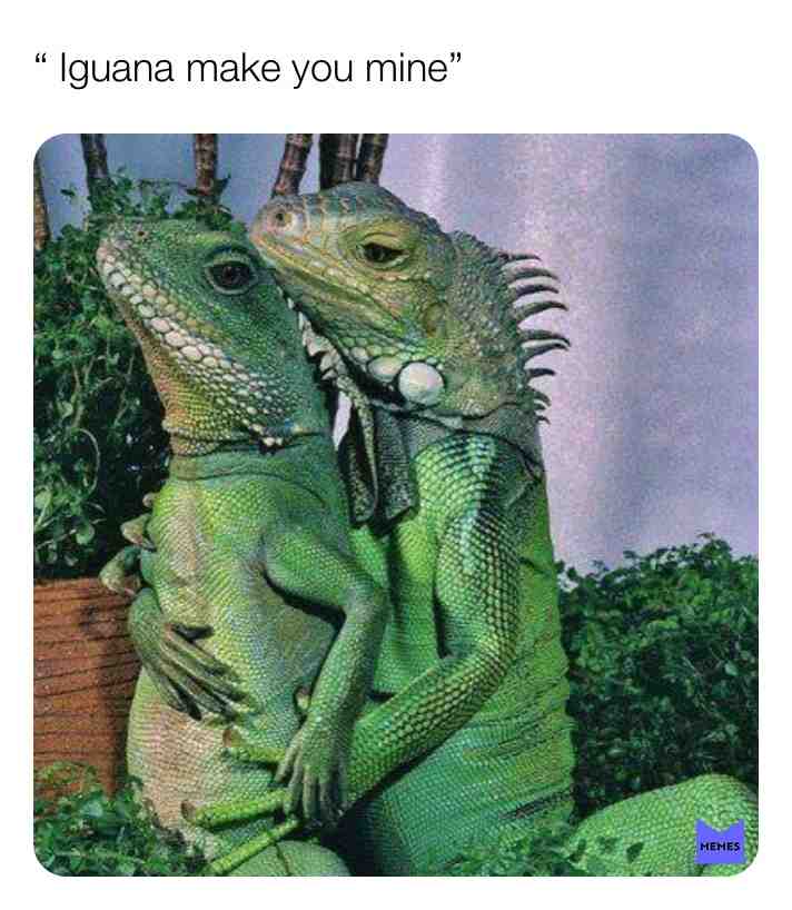 Meme shared by @coolpie