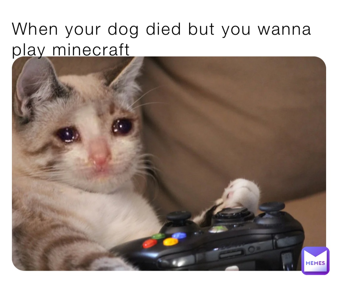 When your dog died but you wanna play minecraft