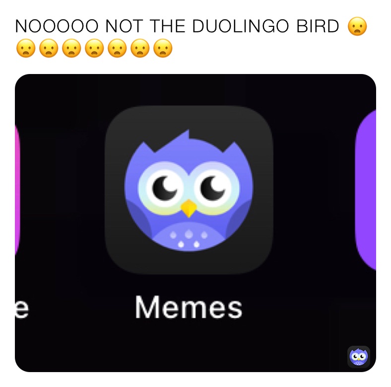 NOOOOO NOT THE DUOLINGO BIRD 😦😦😦😦😦😦😦😦 | @Mando_G | Memes