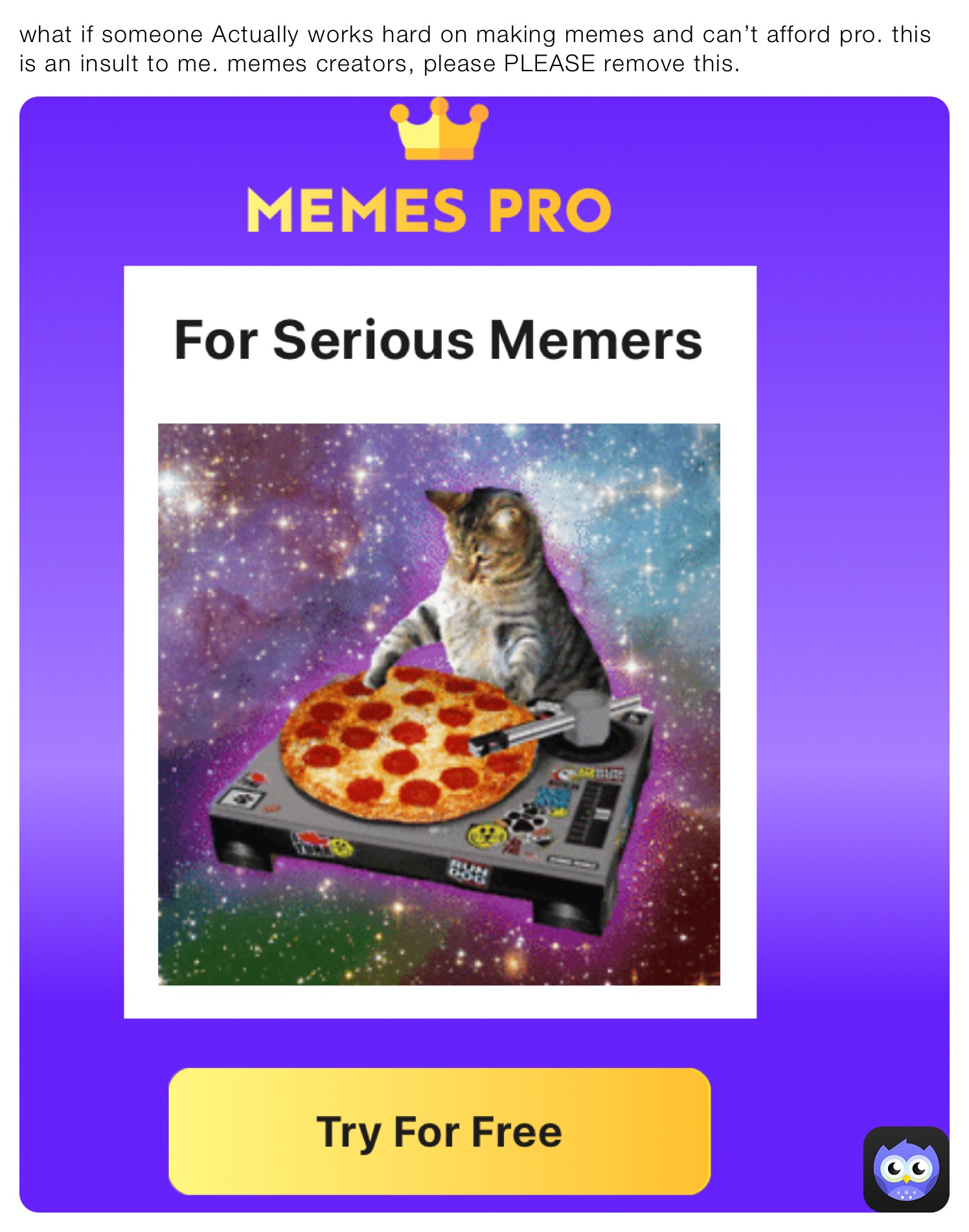 what if someone Actually works hard on making memes and can’t afford pro. this is an insult to me. memes creators, please PLEASE remove this.￼￼￼￼