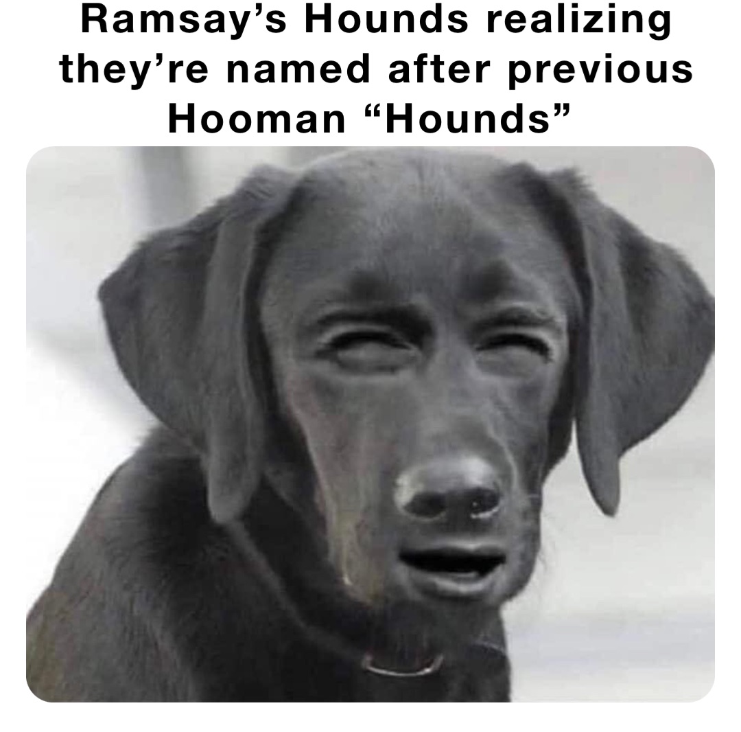 Ramsay’s Hounds realizing they’re named after previous Hooman “Hounds”