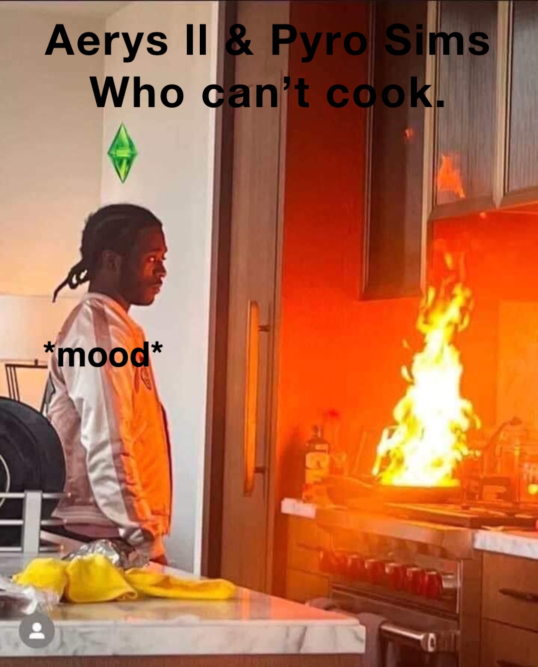 Aerys ll & Pyro Sims
Who can’t cook. *mood*