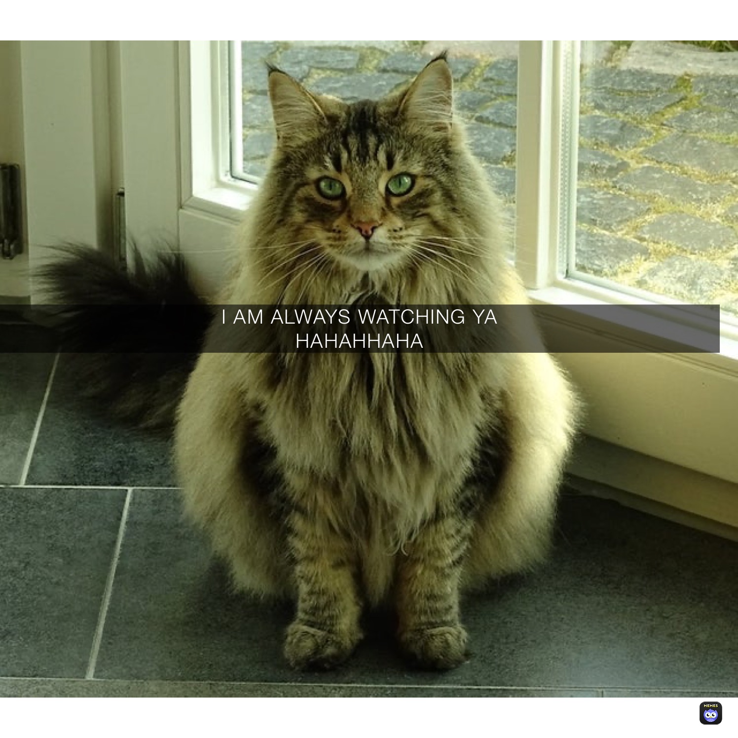 Meme by Roblox_L0vers