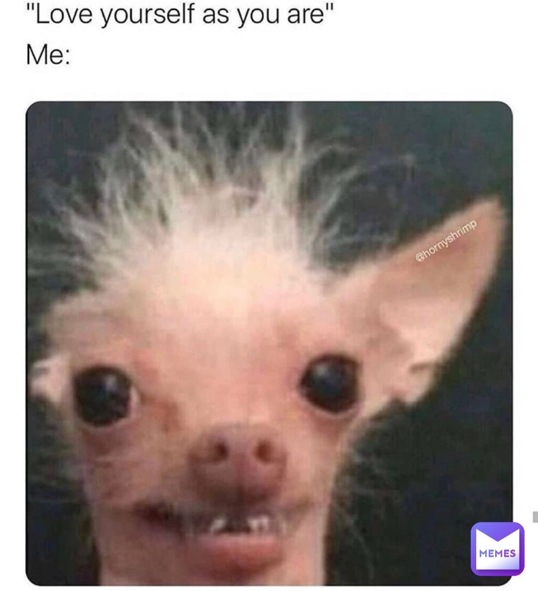 Me *stands up really fast* My entire body Vingu Memes