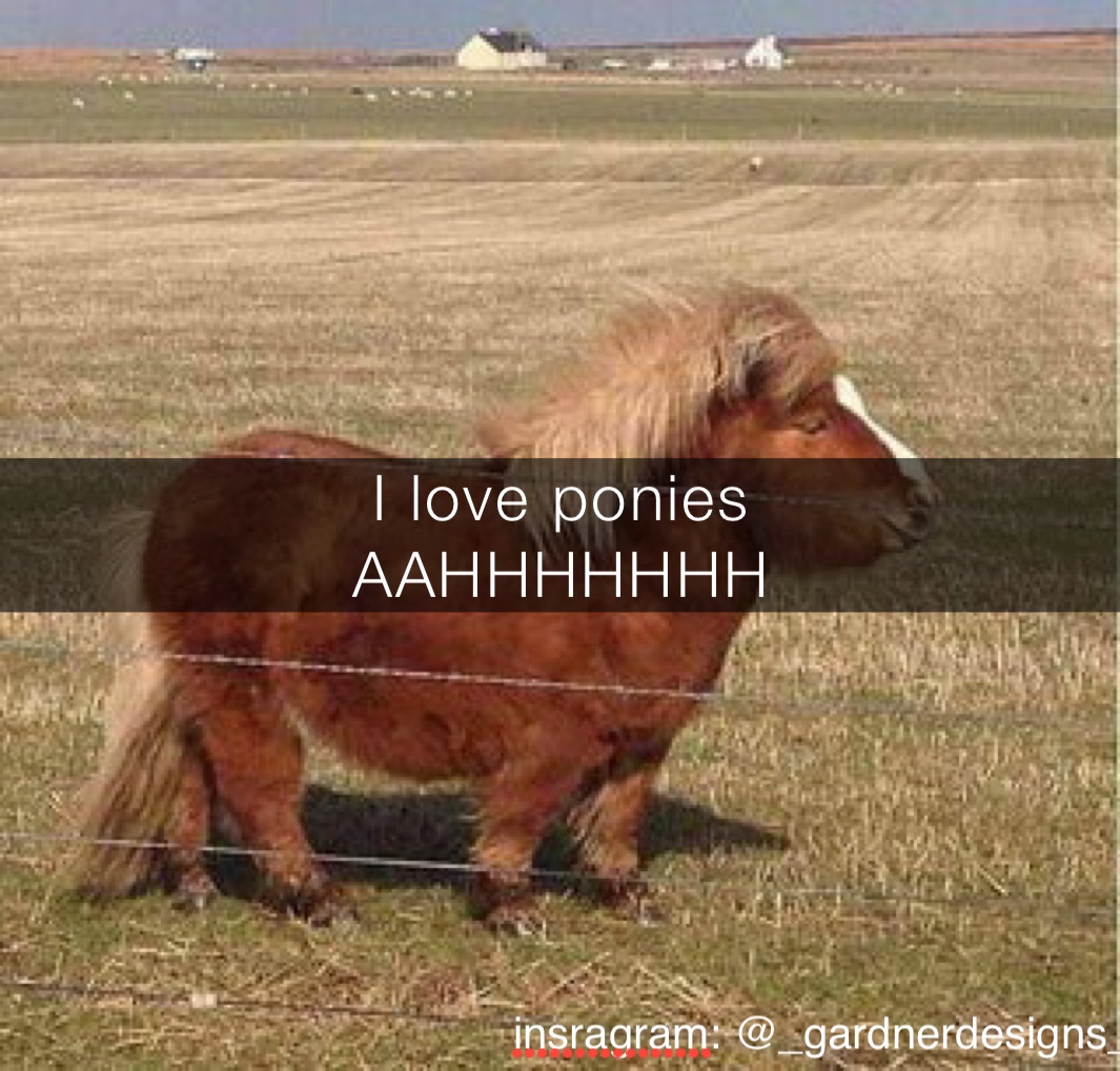 I love ponies
AAHHHHHHH