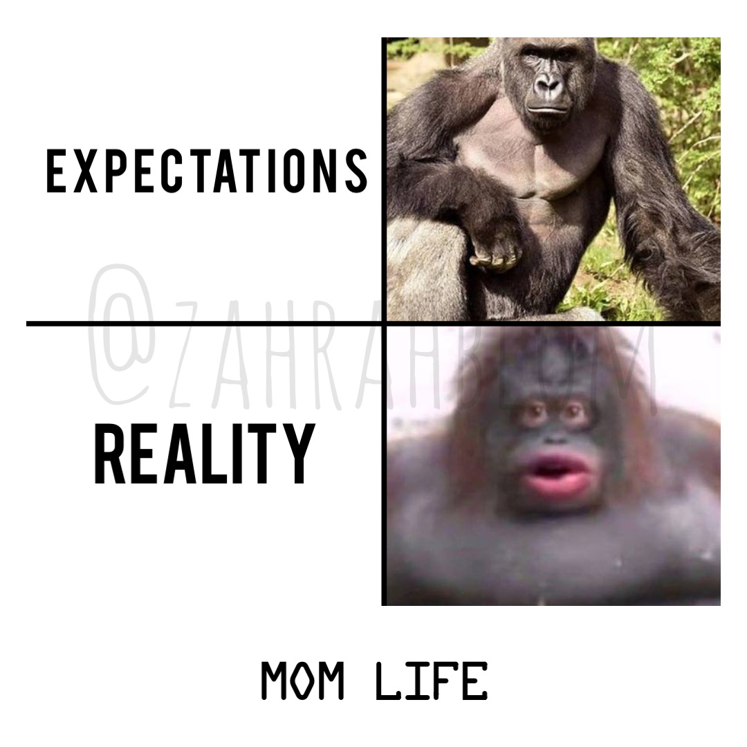 Expectations Reality Mom life