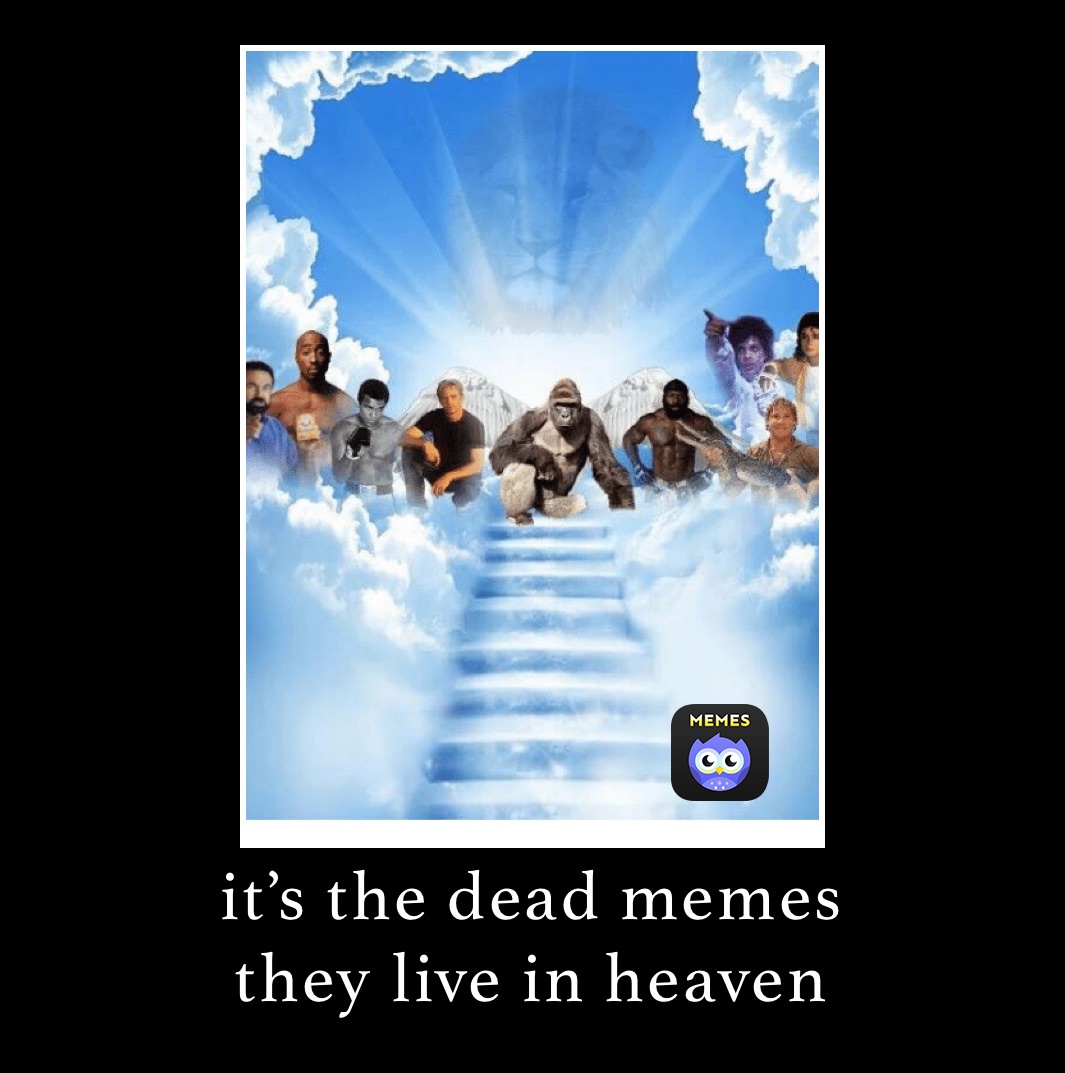 it’s the dead memes
they live in heaven 