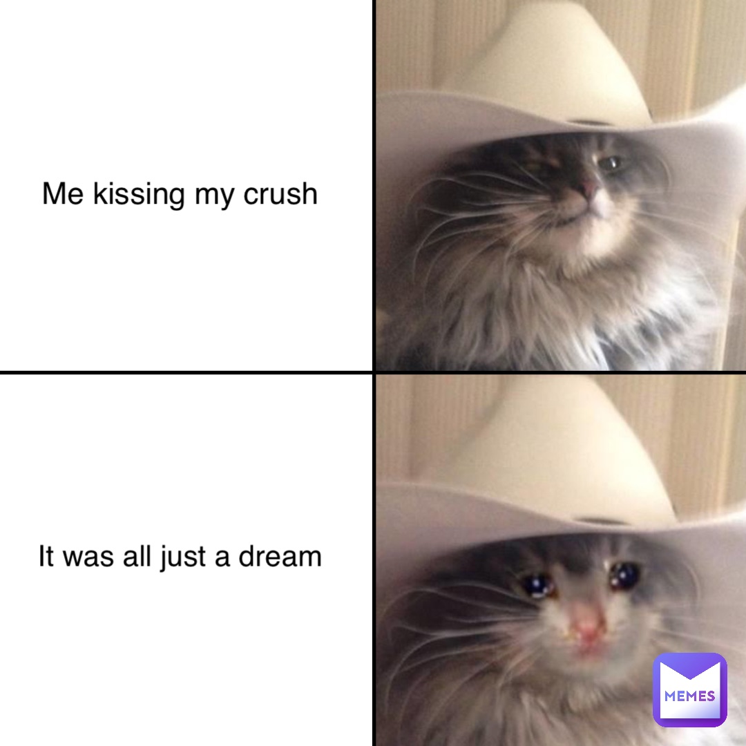 Me kissing my crush It was all just a dream illegaI Memes