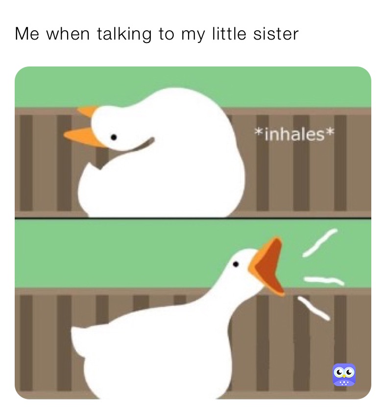 Me when talking to my little sister 