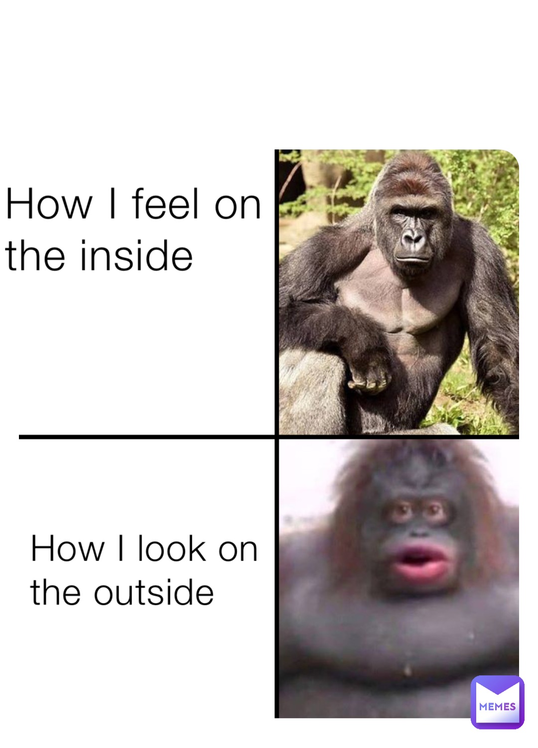How I feel on the inside How I look on the outside