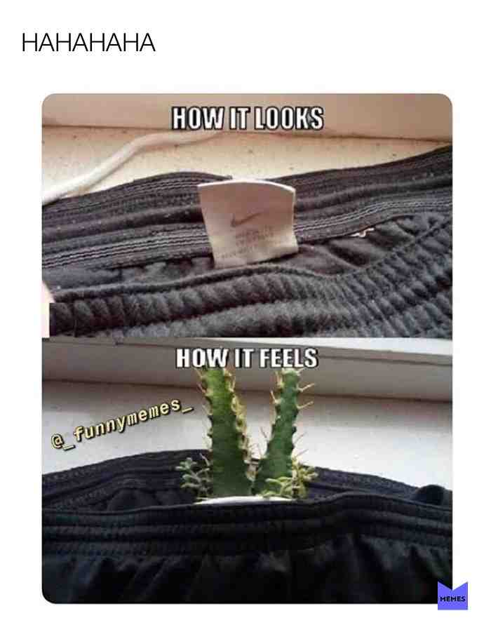 Exactly!! #pain #meme if you like The post tell it in The reactions And I follow you!👇🏽