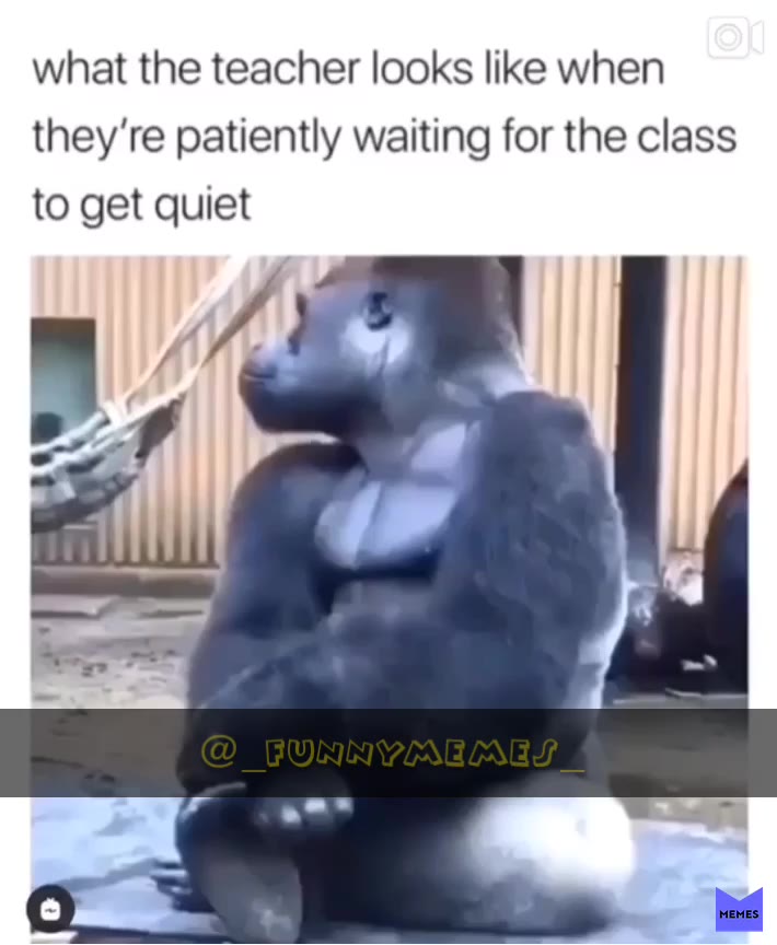 Nailed it  #teacher  #meme if you like The post tell it in The reactions And i follow you!👇🏽