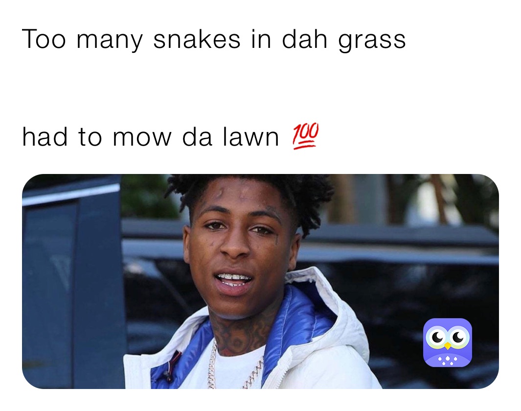 Too many snakes in dah grass


had to mow da lawn 💯