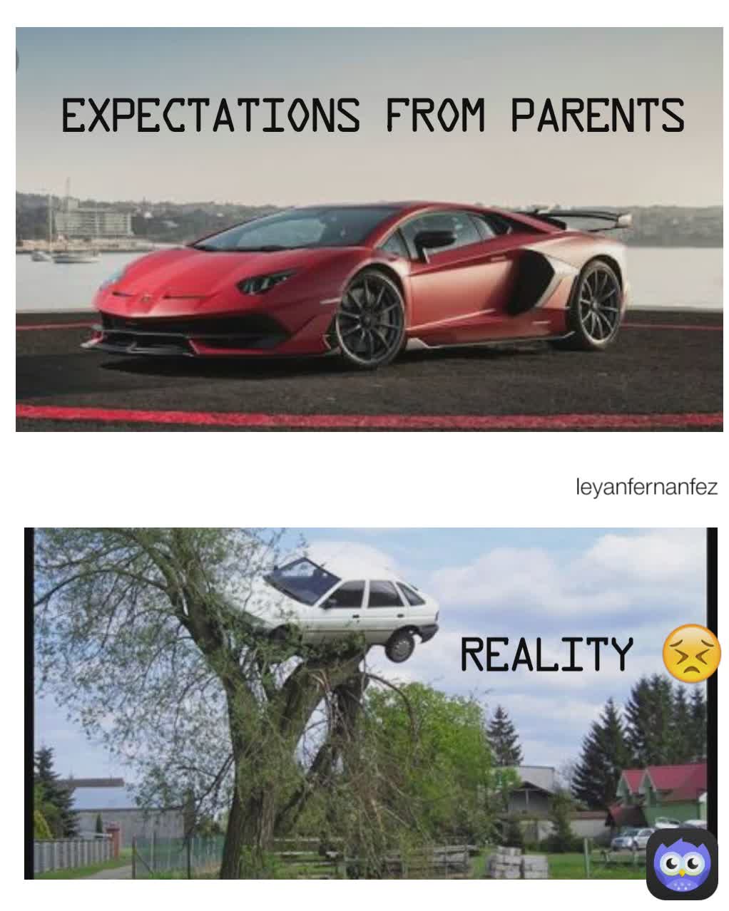 Meme by leyanfernandez2663