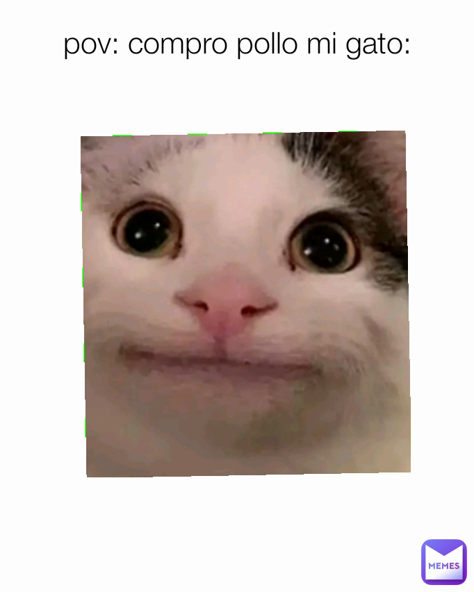 pov: compro pollo mi gato:
