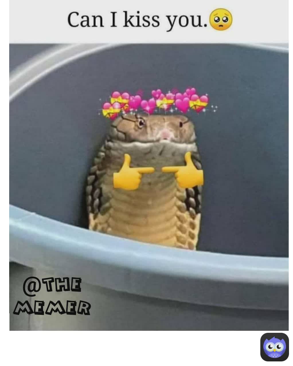 @the memer