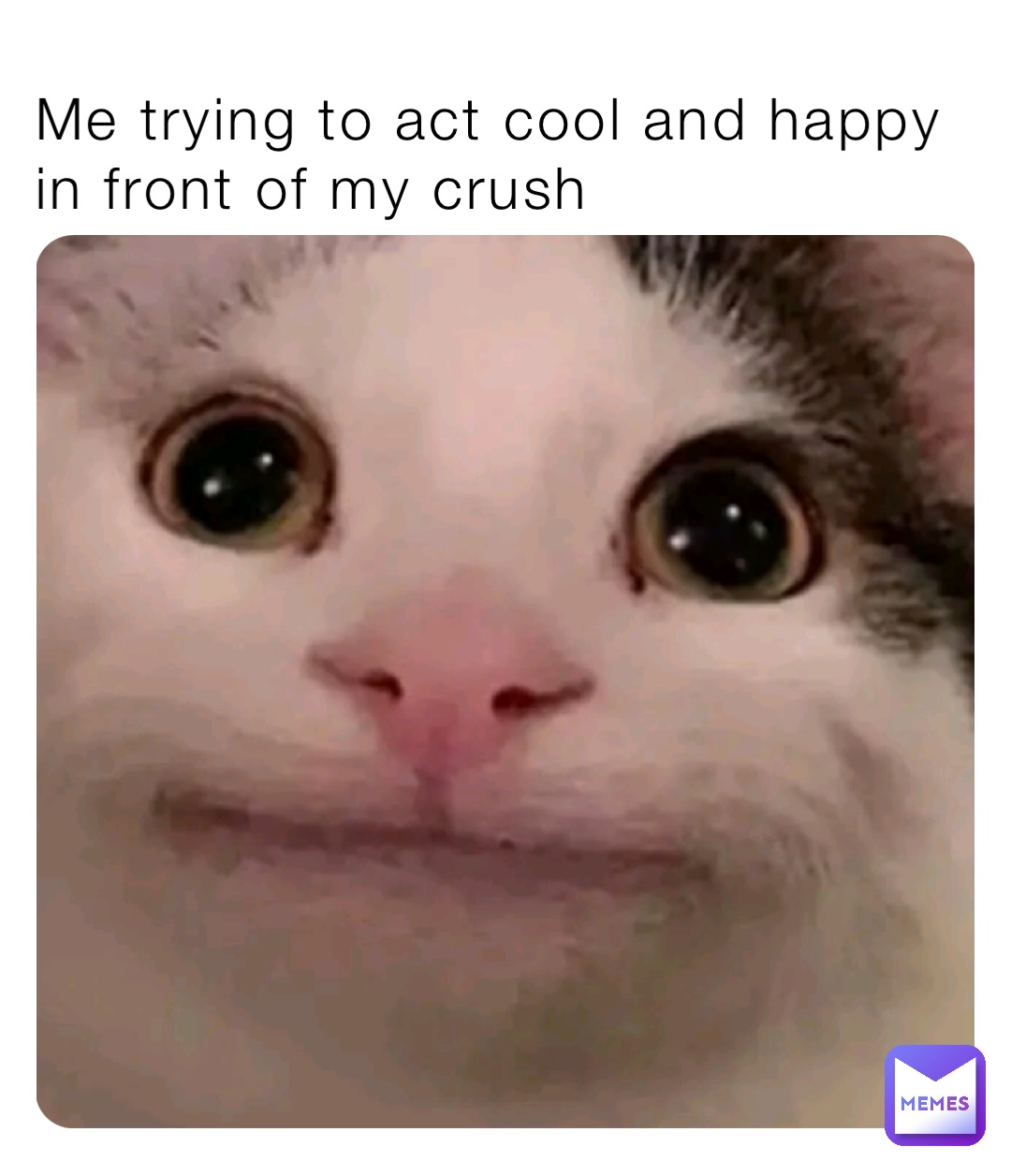 Me trying to act cool and happy in front of my crush