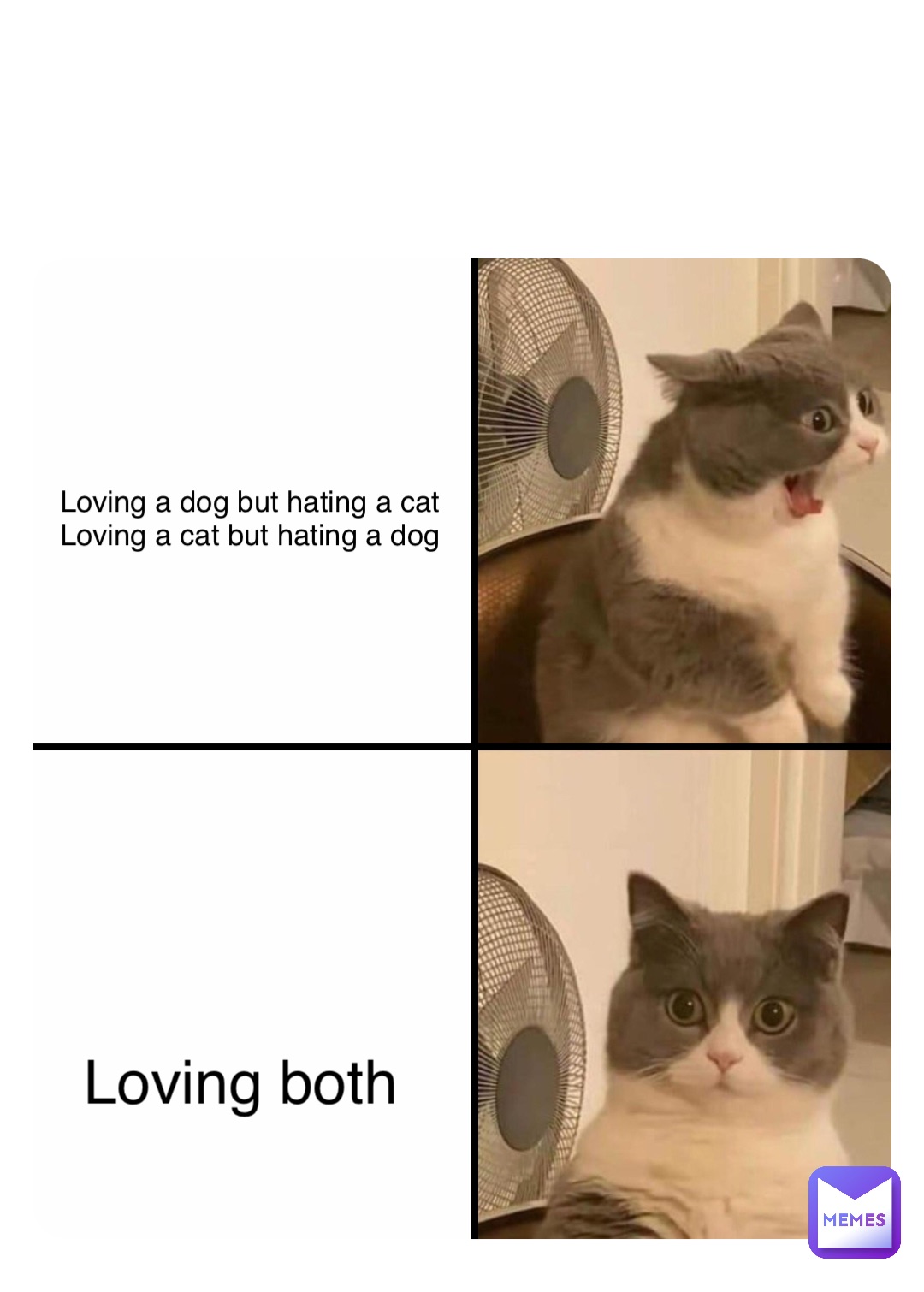 Double tap to edit Loving a dog but hating a cat
Loving a cat but hating a dog Loving both