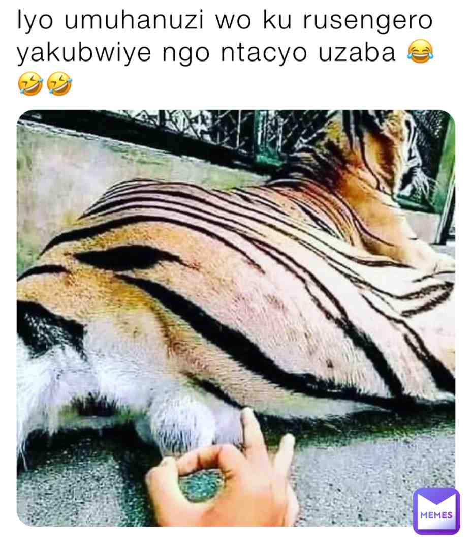 #myfridaymemes 😂🤣🤣🤣🤣🤣🤣