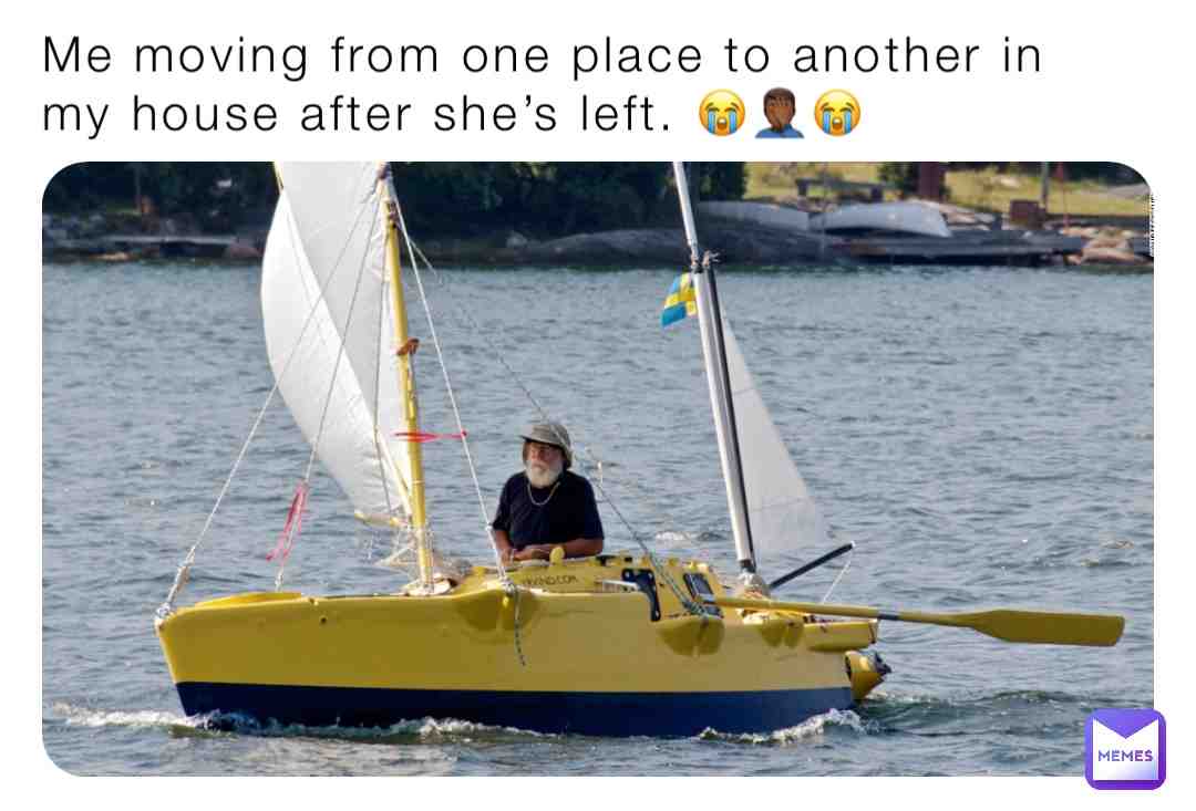#myfridaymemes