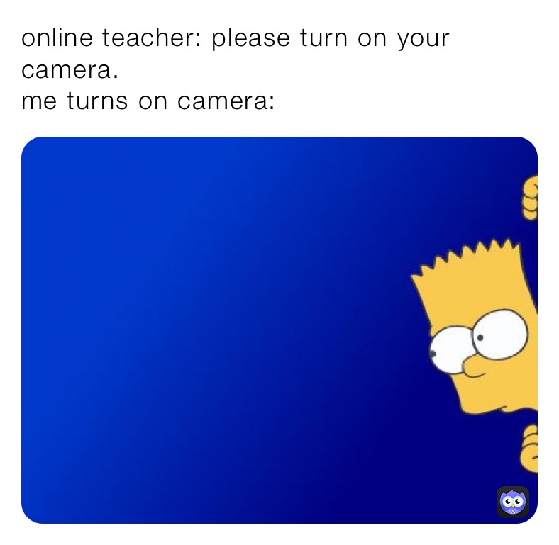 online teacher: please turn on your camera.
me turns on camera: