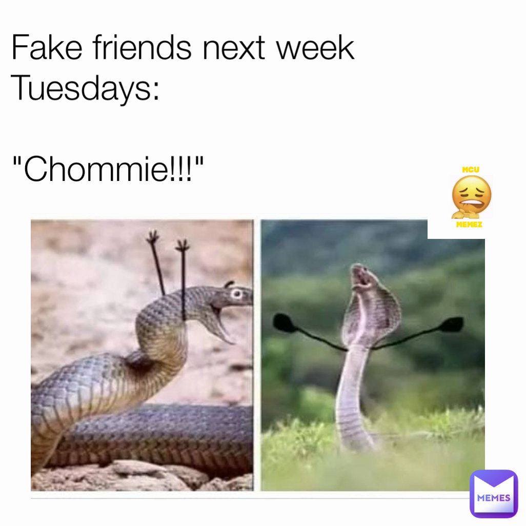 Fake friends next week Tuesdays:

"Chommie!!!"
