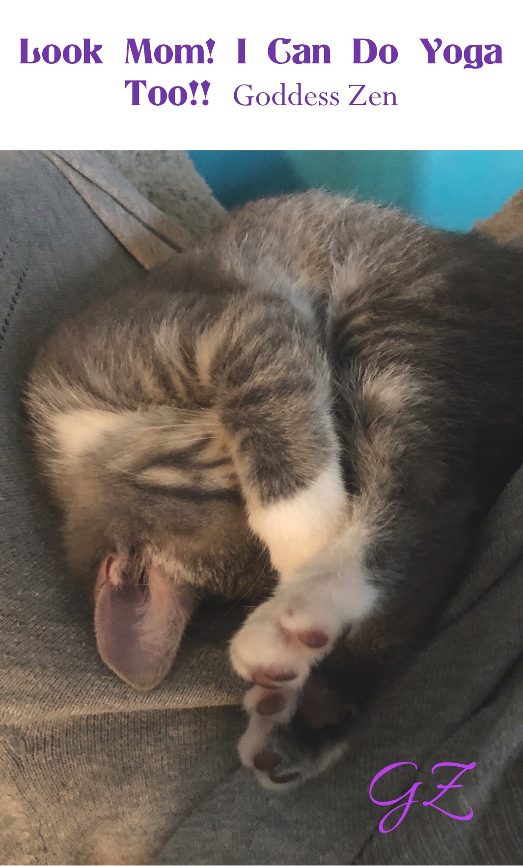 Meme by concept_to_complete