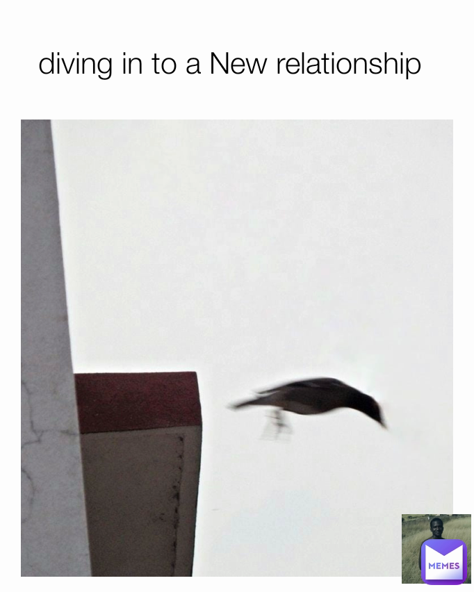 diving in to a New relationship 