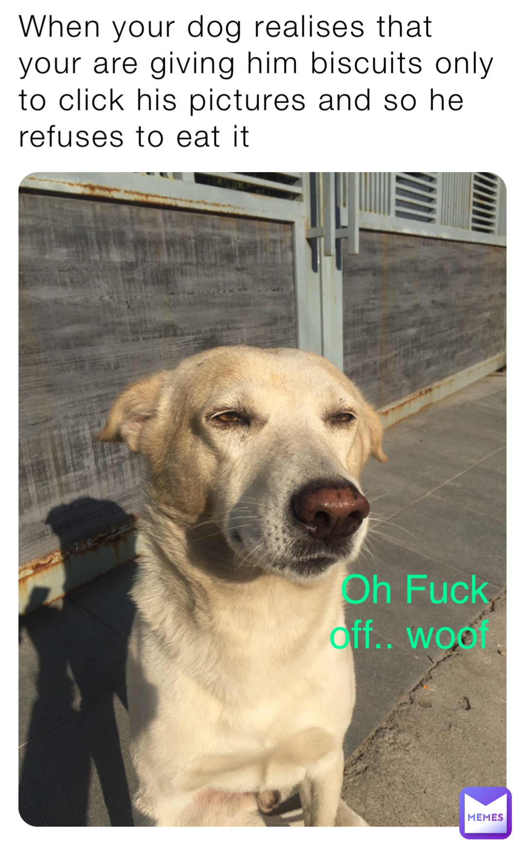 When your dog realises that your are giving him biscuits only to click