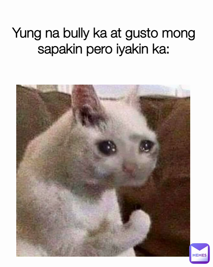 Yung na bully ka at gusto mong sapakin pero iyakin ka: