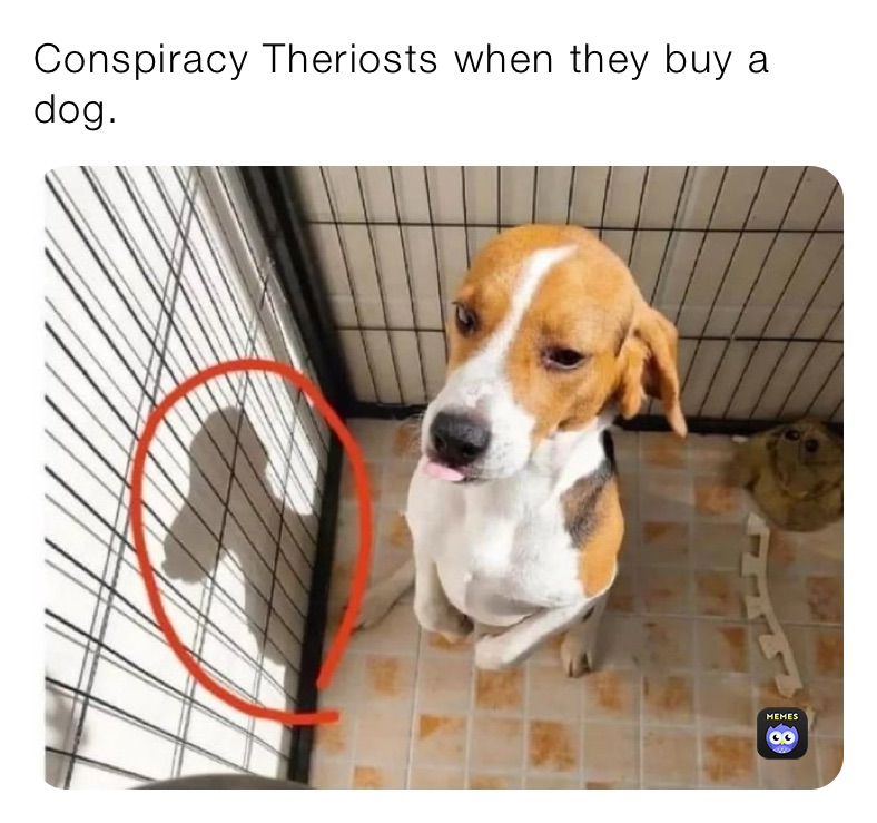 Conspiracy Theriosts when they buy a dog.