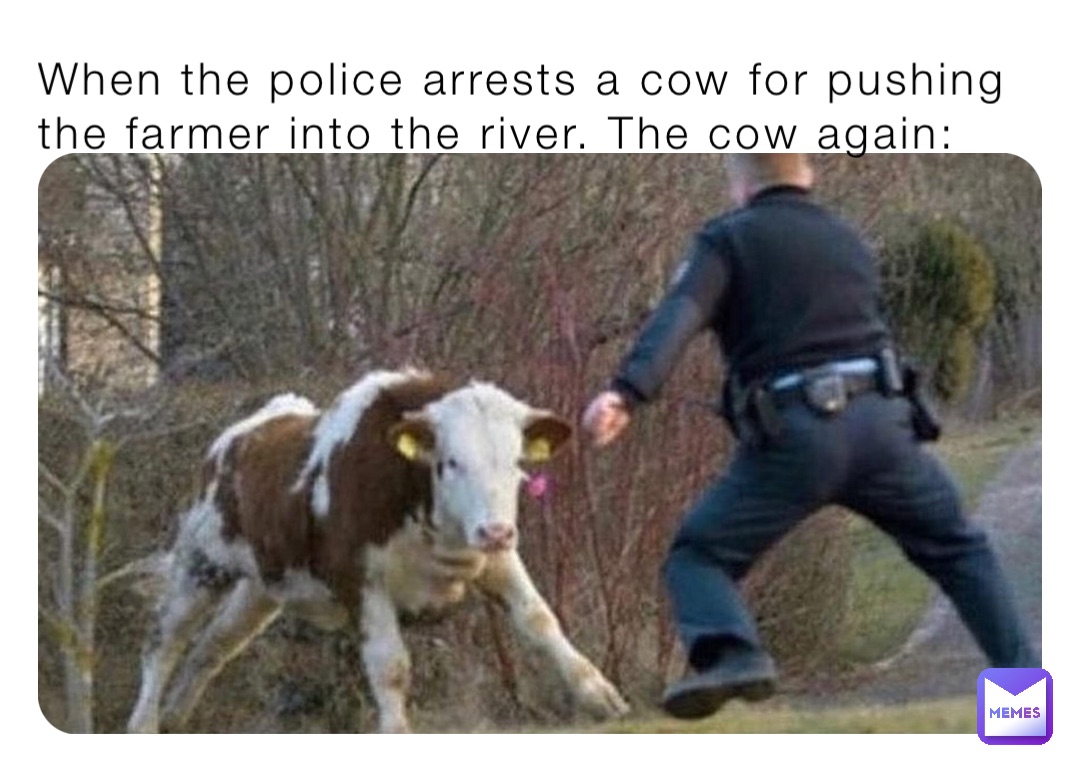 When the police arrests a cow for pushing the farmer into the river. The cow again: