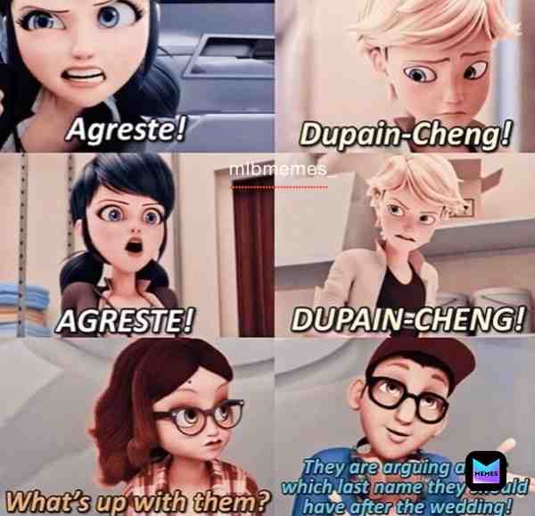 If your wondering what nino says it is: They are discussing what names they are gonna have after their wedding #Ladrinoette #miraculousmemes #miraculousladybug #miraculous #ladybugandcatnoirawakening #mlbmemes #marichat #memes #Miraculous