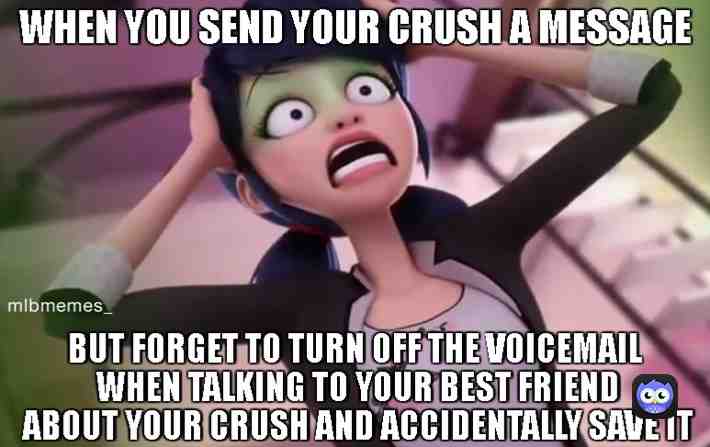 I haven't posted in a while so Hi! #Ladrinoette #miraculousmemes #miraculousladybug #miraculous #ladybugandcatnoirawakening #mlbmemes #marichat #memes #Miraculous
