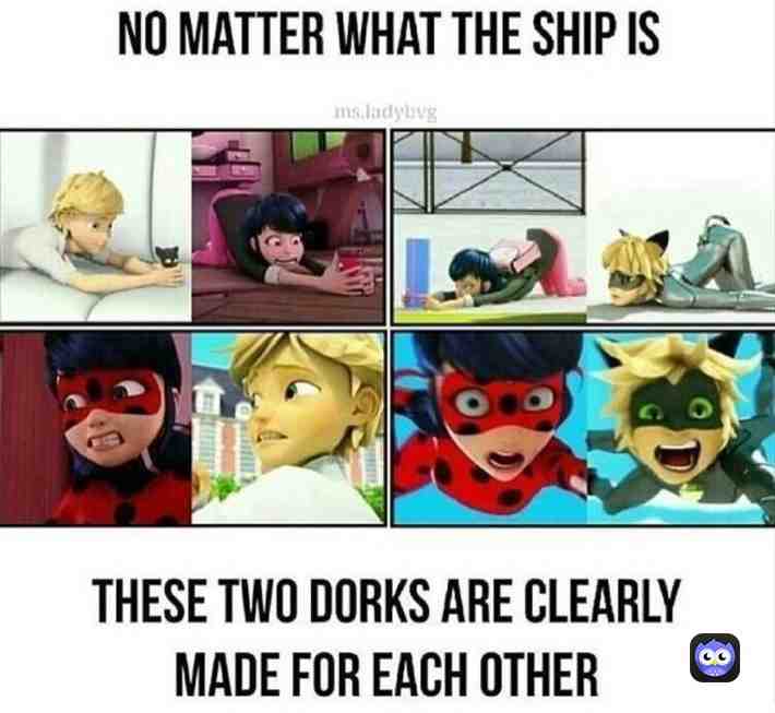  #Ladrinoette #miraculousmemes #miraculousladybug #miraculous #ladybugandcatnoirawakening #mlbmemes #marichat #memes #Miraculous