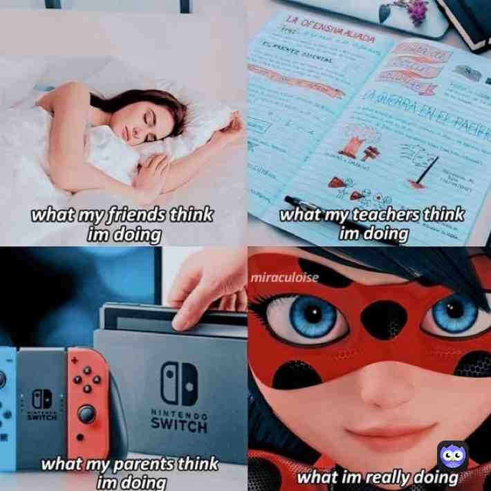  #Ladrinoette #miraculousmemes #miraculousladybug #miraculous #ladybugandcatnoirawakening #mlbmemes #marichat #memes #Miraculous