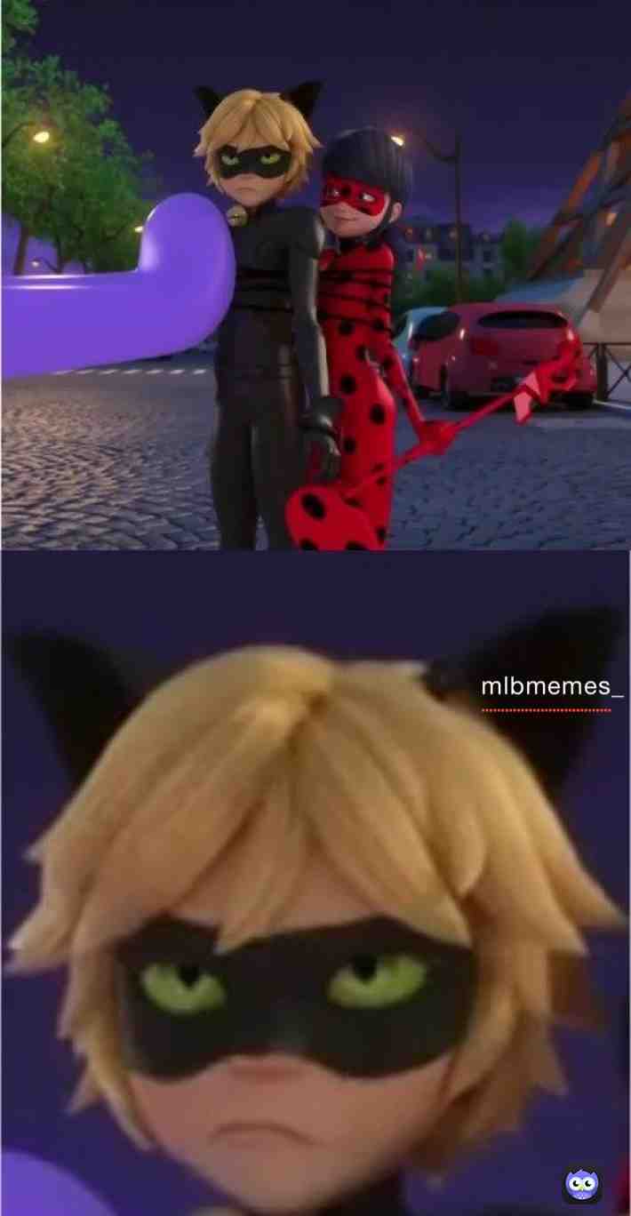 His face tho #Ladrinoette #miraculousmemes #miraculousladybug #miraculous #ladybugandcatnoirawakening #mlbmemes #marichat #memes #Miraculous