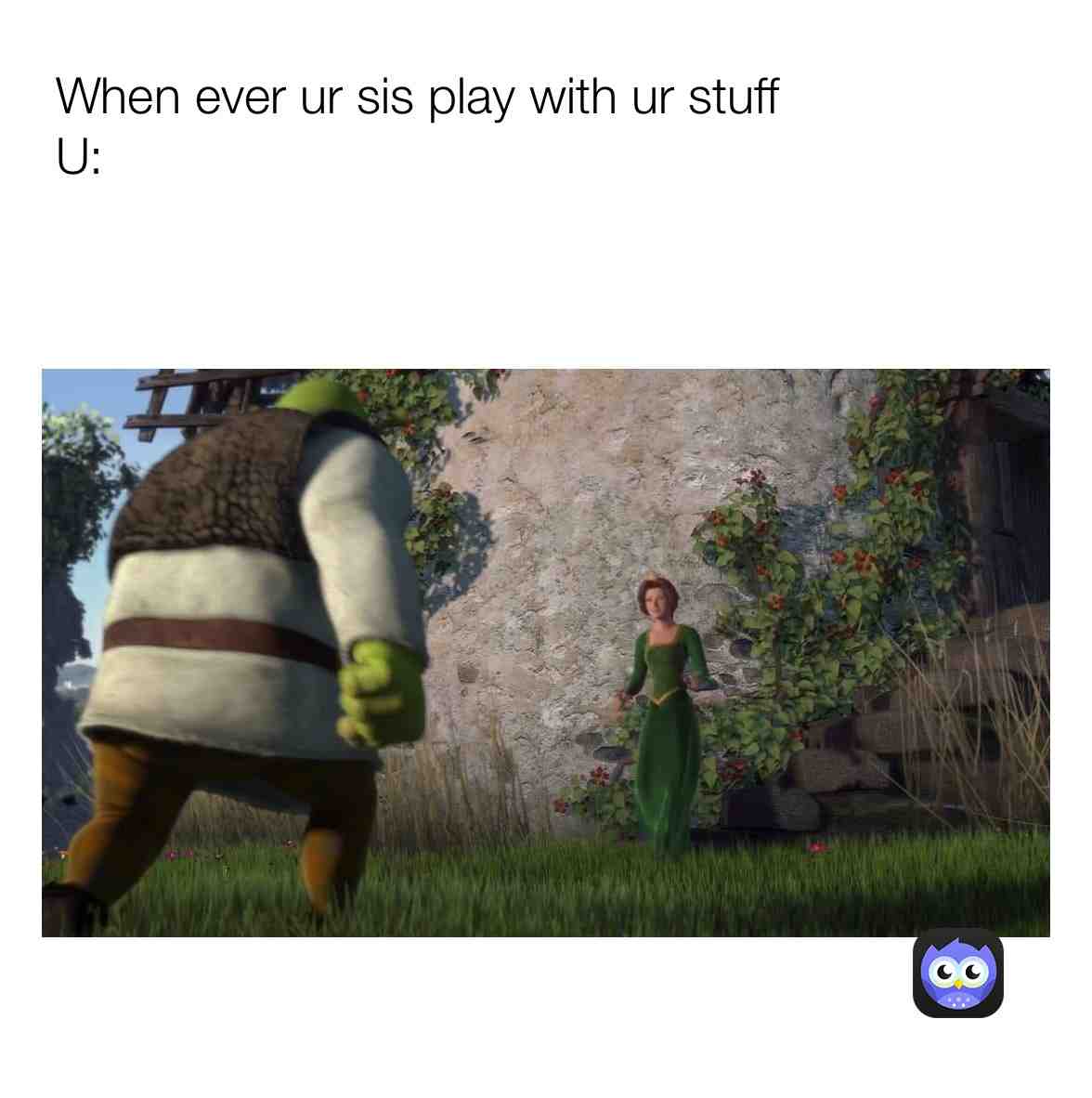 Meme shared by @UrDailyDoseOfBs