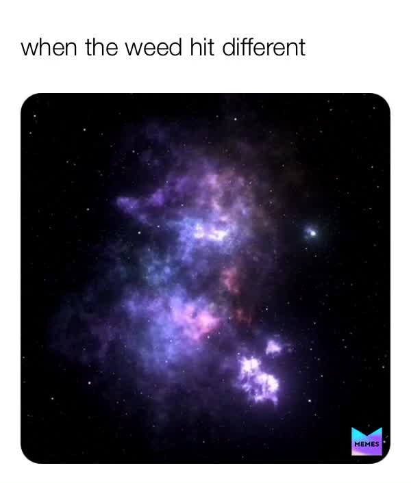 Meme shared by @marcus_hamed_emmitt