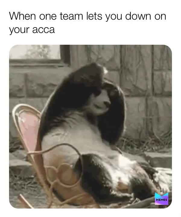 Meme shared by @marcus_hamed_emmitt