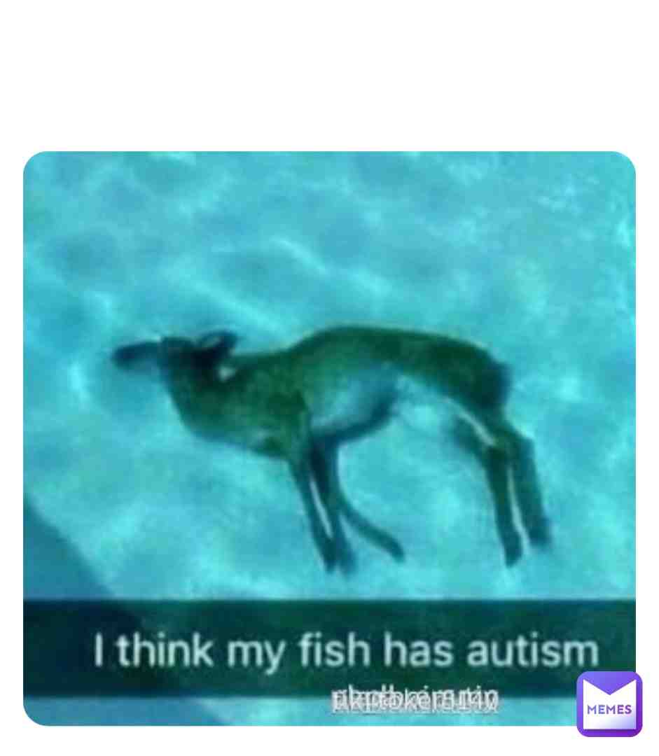 Meme shared by @Cappydude