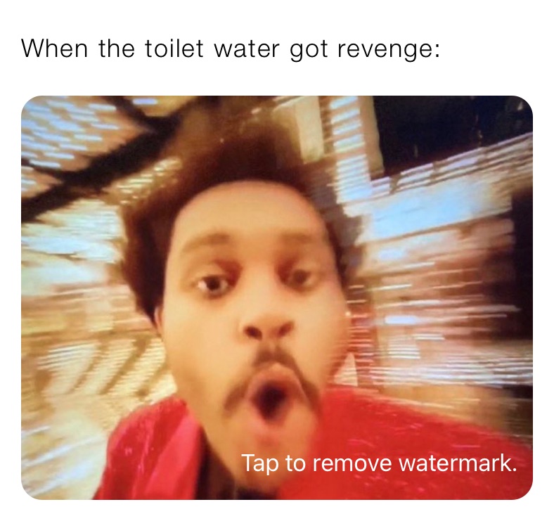 When the toilet water got revenge: