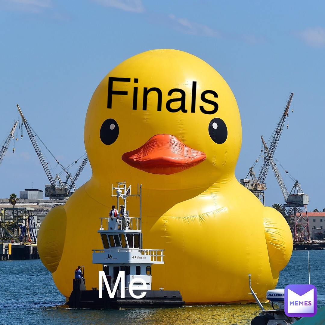 finals me