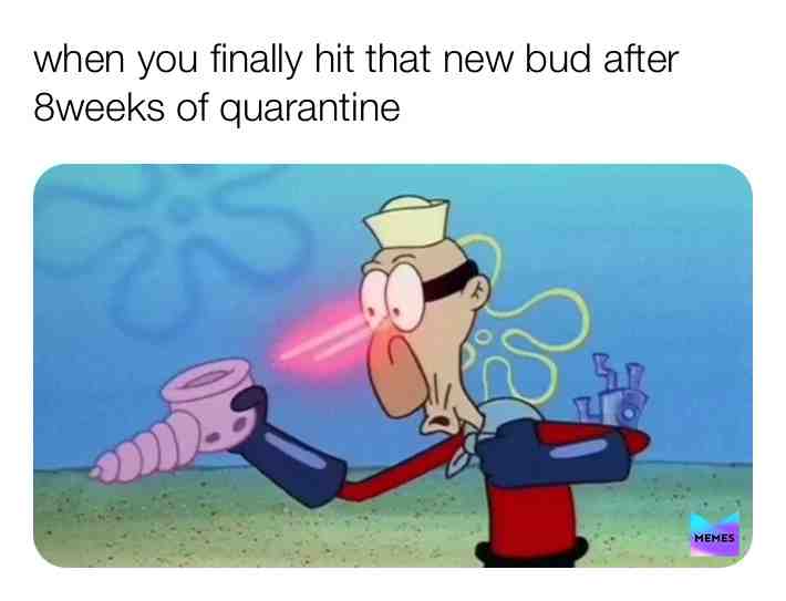 #covid19 #funnymemes #weed #calmdown #2020 #quarantine