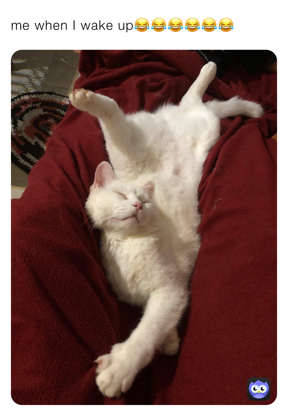 me when I wake up😂😂😂😂😂😂