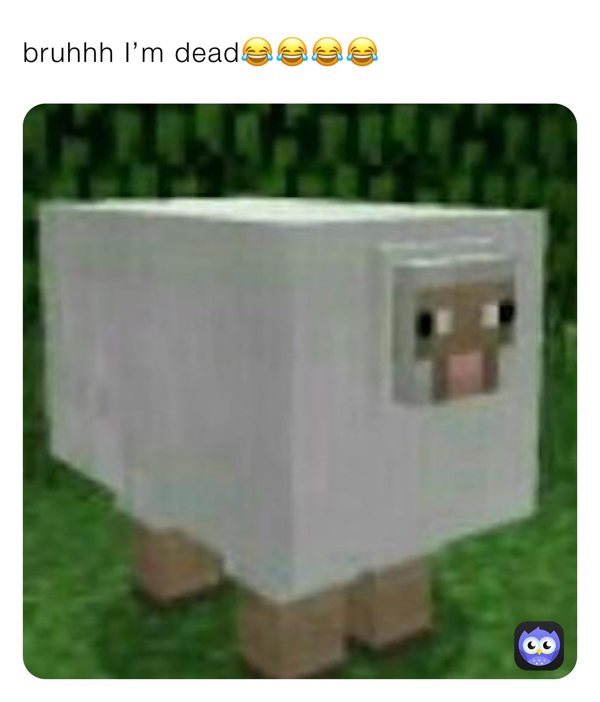 Meme by davirossinholli