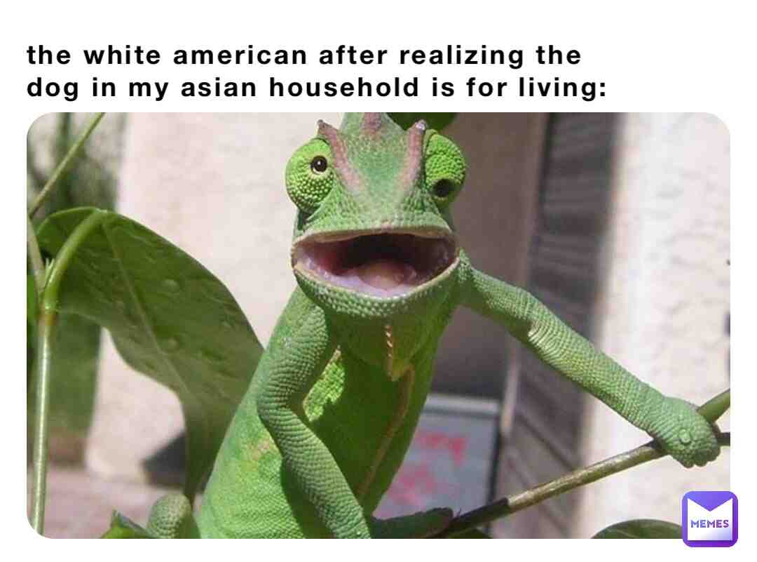 #asian #bingchilling #white #petco #food #dog #dinner #highschool #equality