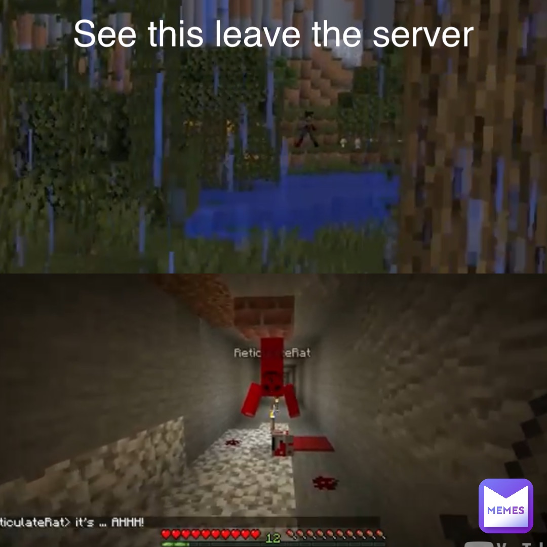 See this leave the server